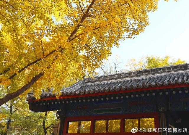 博物馆秋之旅丨与金秋相遇，这里有最美的古都秋色！