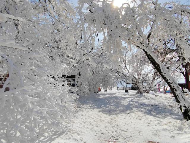 叮！龙头山秋日余额已不足！期待新一轮的冬雪到来~