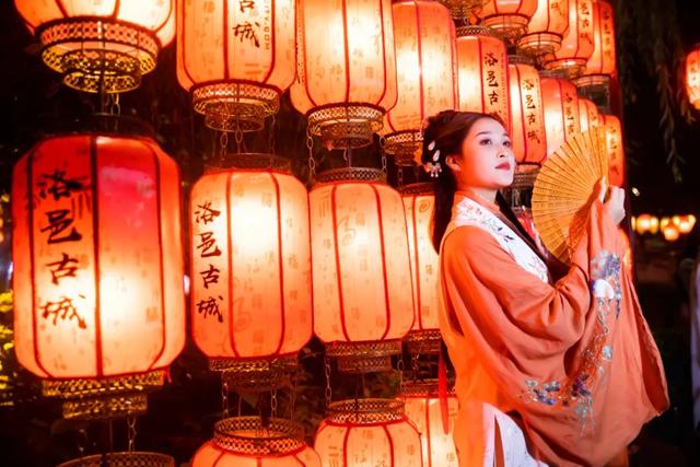 趁天晴出发！洛阳这片杉林红了！无需门票…