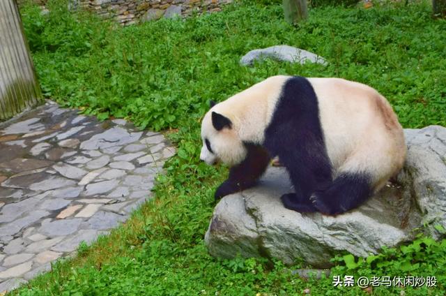 我带着相机，在耿达避暑