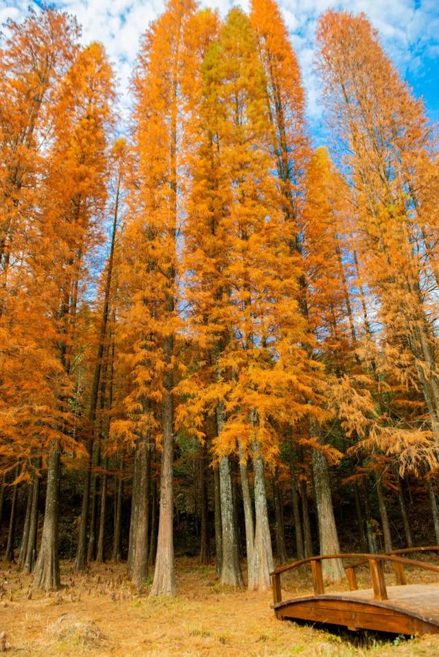 如何把1天过成N天？跟着韶关这条线路解锁瑶乡浓烈的快乐