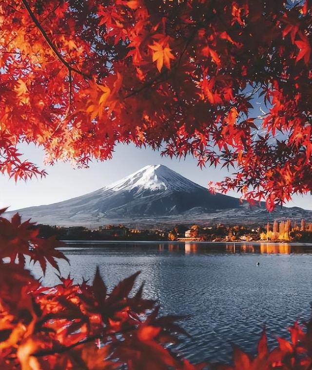 不听劝去日本的游客懵了！滞留机场饭都快吃不起，当初为啥要去？