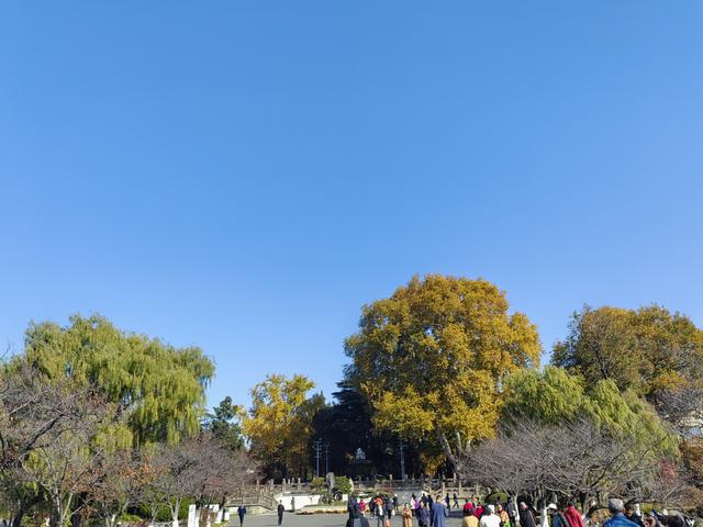 碧云天，黄叶地。秋色连波，波上寒烟翠一一玄武湖银杏迟