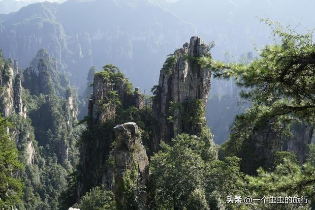 杨家界千米悬崖上的天空之路，揭秘杨家界“天然雕塑群”
