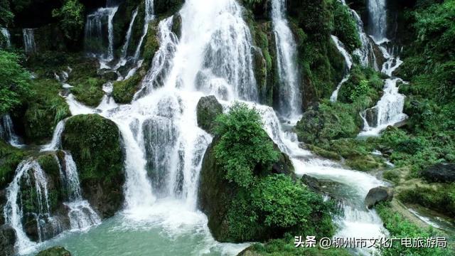 山涧撒欢！寻味融安最沁凉一夏