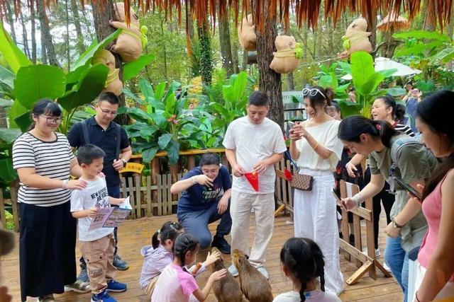 常州唯一！度假区成功入选2025旅游项目高质量建设运营典型案例