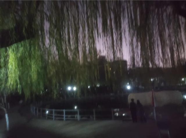 《2025年12月5日傍晚游西安红色回坊之地“莲湖公园”即景留影》