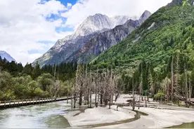 我去了四姑娘山，因双桥沟关闭，只游了长坪沟，这两条沟谁更美呢图片