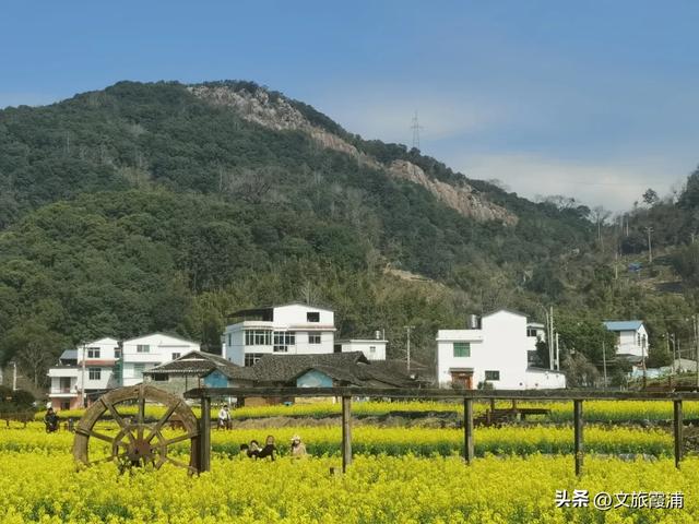 每日一村:霞坪村——荷香漫谷的畲乡秘境,诗画交织的夏日桃源