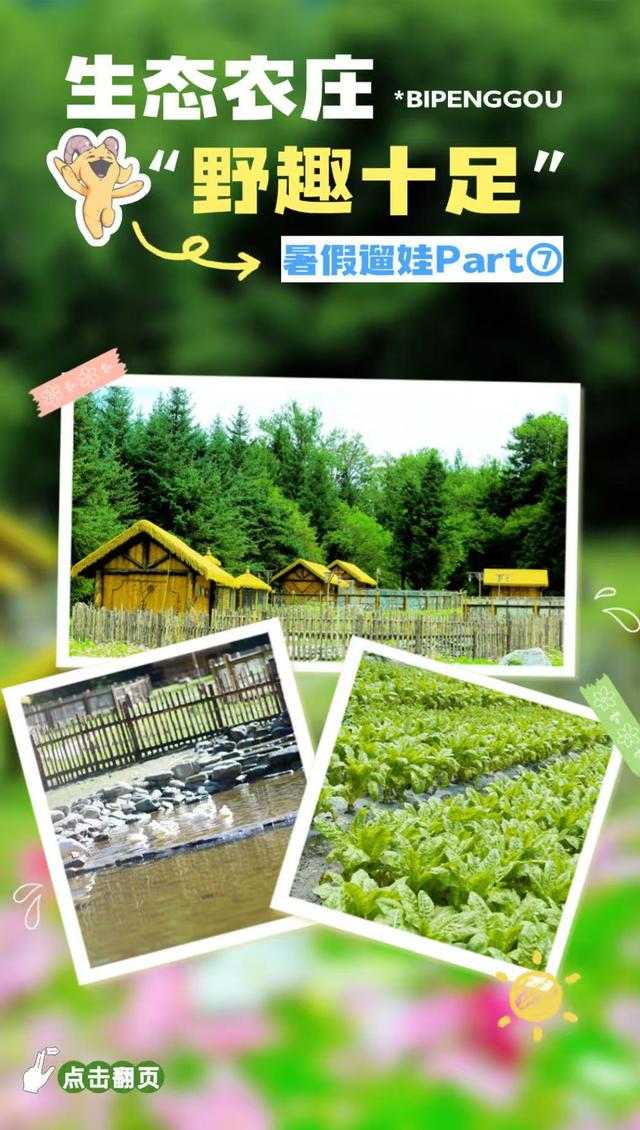 暑假遛娃去哪？毕棚沟游玩手册已上线！