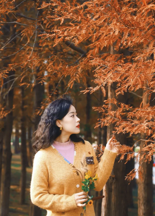 临沂「红杉」「红枫」浓度拉满，出片率100%