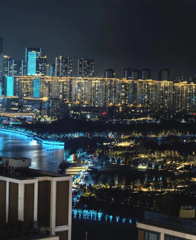 漫步前海：邂逅花海、踏浪听风，在摩天轮下收藏一城浪漫