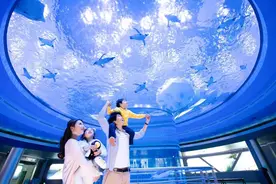 2024上海海昌海洋公园一日游保姆级攻略(附门票+地址+交通)图片