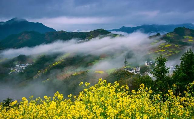 星空为幕，云海为席！歙县坡山首场公益露天电影之夜圆满落幕