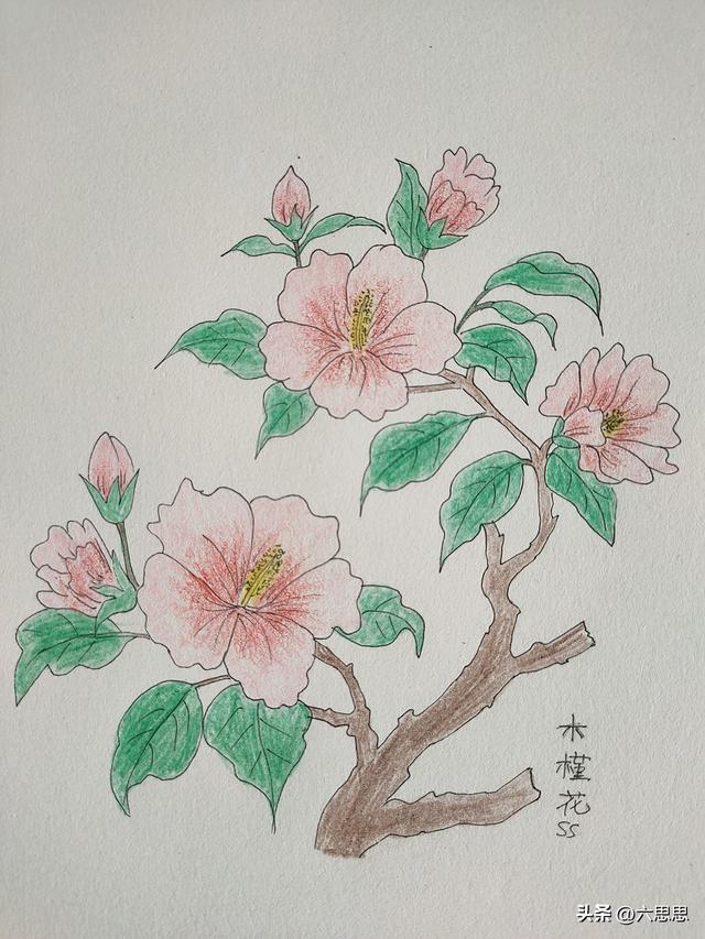 这花是来“诈骗”的吧！装成水蜜桃就算了，还偷偷开成了甜妹本妹