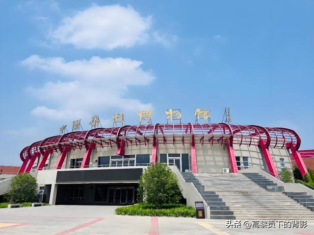 功夫寻源：河南少林·太极·杂技三日实录