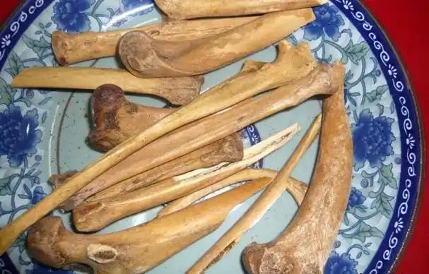 一只就定刑！2021年，广西男子甘蔗地捕获一只，用骨架泡酒