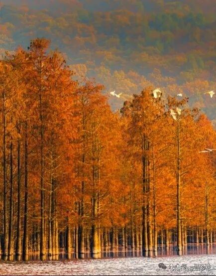 今日起，京山高铁出发新模式，舌尖上的美味等你品尝！