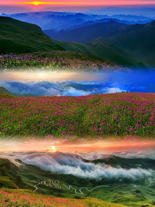 贵州韭菜坪游玩攻略 | 闯入2900米紫色云端花海