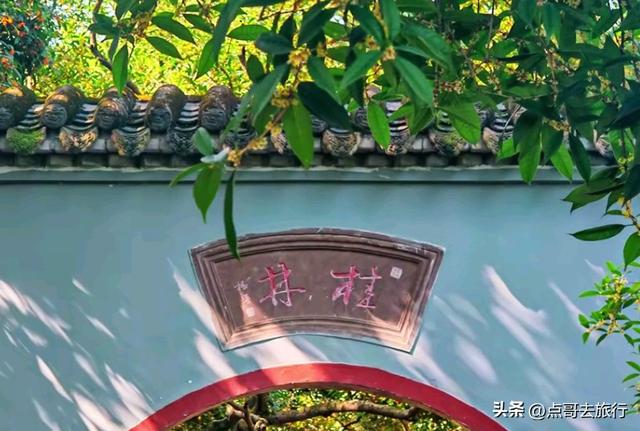 成都最出名的桂花观赏地，超级低调，桂香四溢，地铁公交车直达！