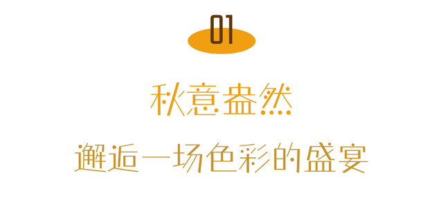 喇叭河五彩斑斓的秋天，就这样闯闯闯入视野！