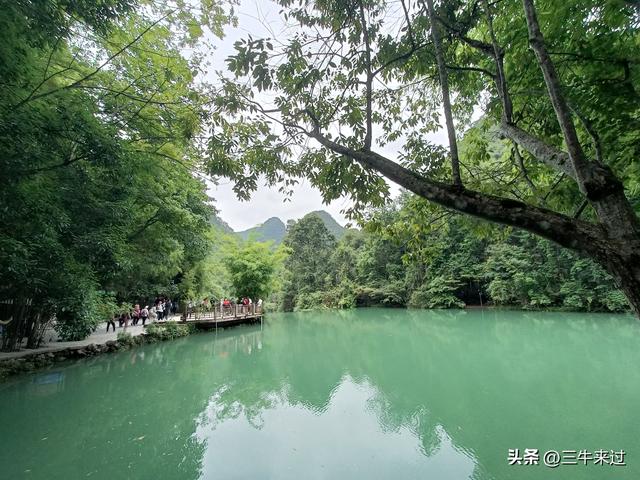 无为在歧路，2025之经行