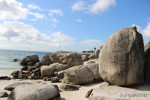 南部非洲：南非开普敦企鹅岛