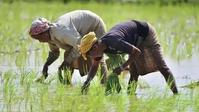 印度反对无效，中国1.2万亿水电工程开工，莫迪彻底傻眼