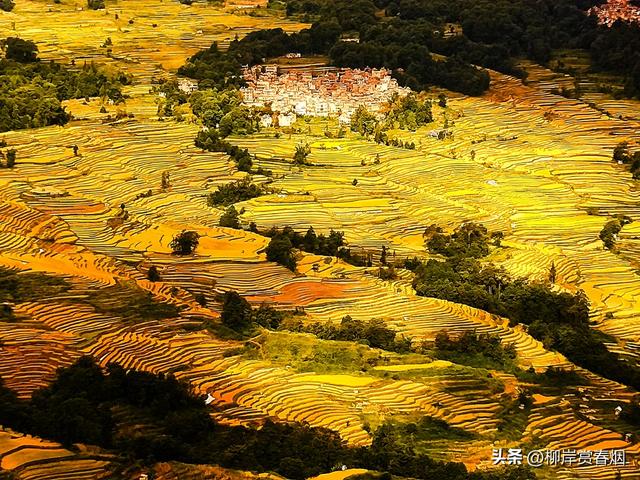 【国庆推荐】元阳梯田·哈尼人写给大地的诗行