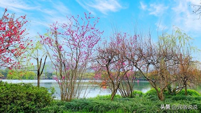 杭州的春天原来这么美，推荐这样玩！