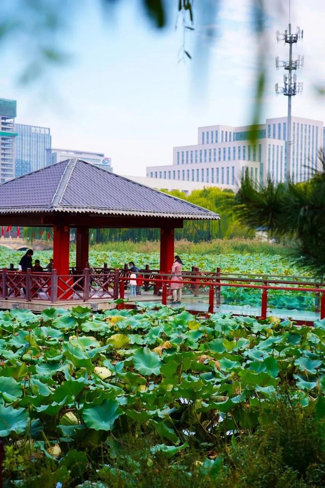 临沂秋日免费打卡全攻略 | 这10个宝藏地遛娃拍照绝了！