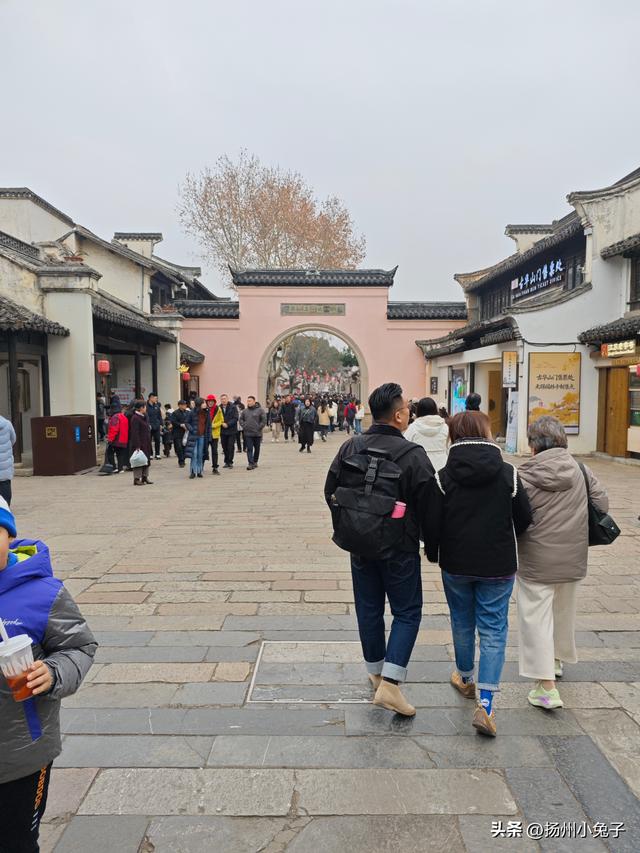 一月，我是一只吃窝边草的兔子