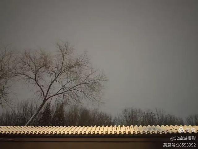 北京下雪啦,每一帧都是冬日限定的浪漫/徐长红图文