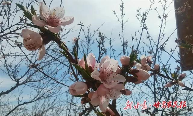 “蓝色黄河·阳光永靖”媒体及网络达人采风活动探路者观察