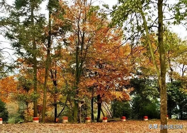 10月29日，开启乐游天台山不限量徒步活动！速来围观！