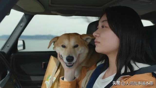 将机器人改造成亡妻，单亲爸爸的寻女之旅