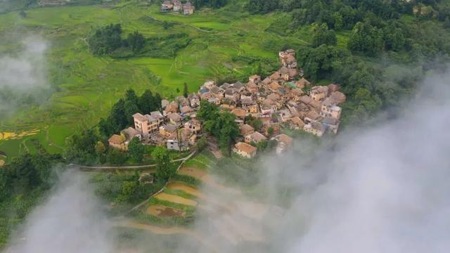 周年限定！快来阿者科当一天“哈尼公主”