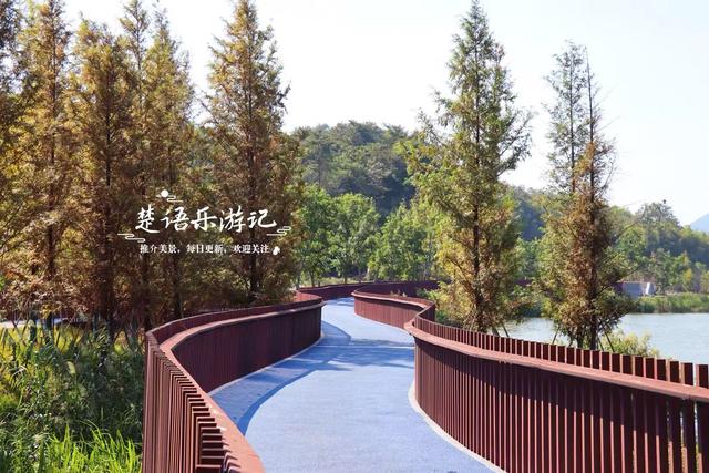 浙江绍兴少有人来的湖泊，景观步道被红杉掩映，平日秀丽秋色更美