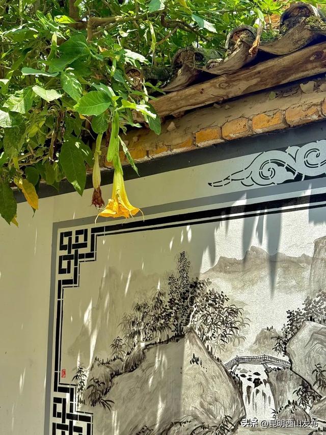 滇池畔小众村落：杨林港——观音山——百草村一日游！