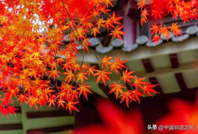 今年立秋不一般，有5大特点，早了解早准备