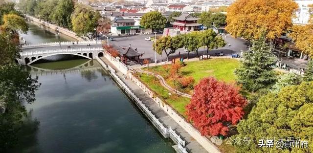 仪征这里的银杏美景醉全城