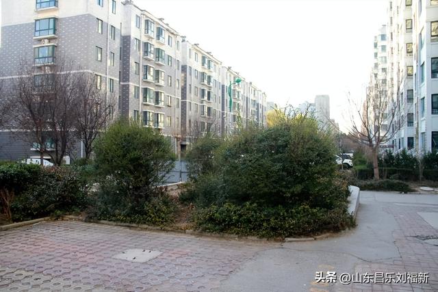 小区1号楼停电·徒步下楼·逛一圈的趣事