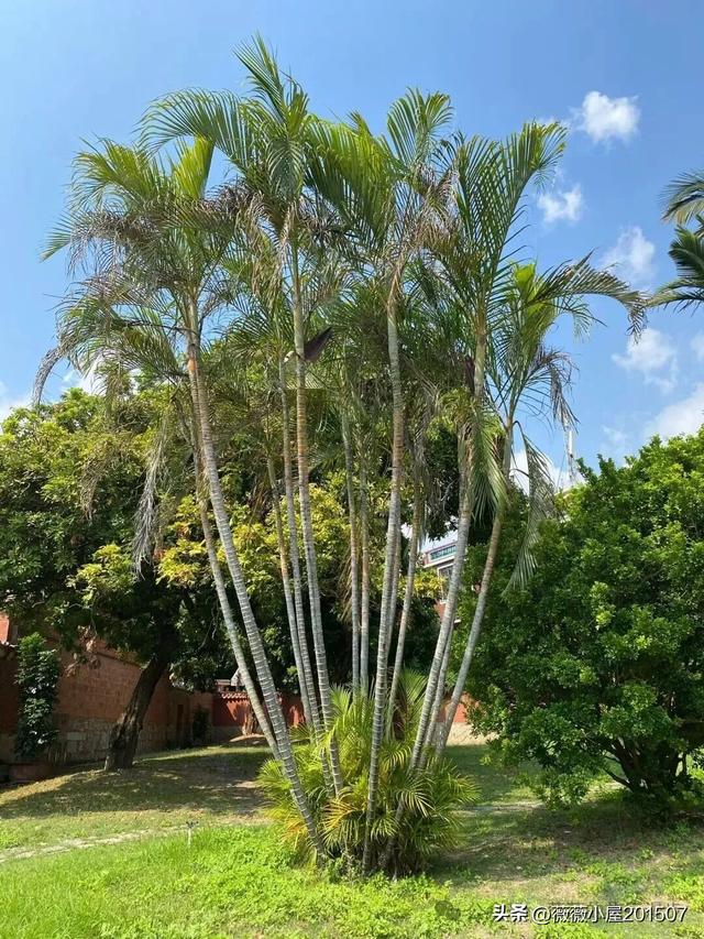 “魅力之城”泉州：“多元融合 古今辉映”是其最好的城市注脚