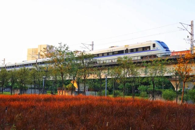 三条高铁并行！桥下还有“宝藏”，等你发现！