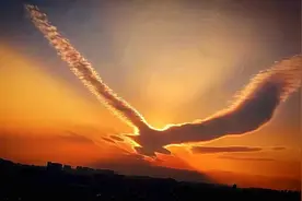 八首“扶摇”诗词，祝学子们“大鹏一日同风起，扶摇直上九万里”图片