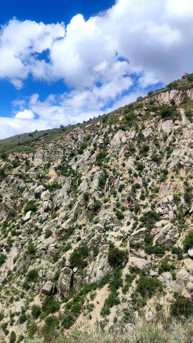 爬拉萨哲蚌寺后山，从海拔3600米到山顶5300米，上下20公里