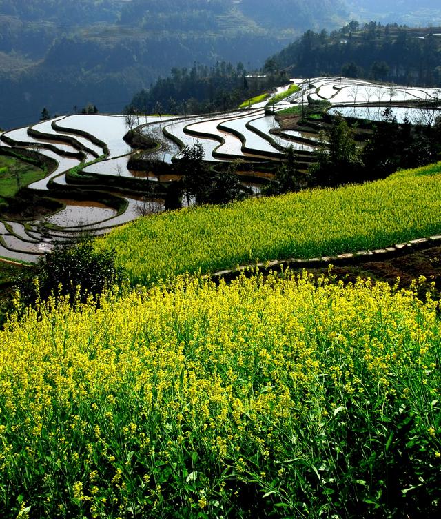 神奇骆崃山 ， 99匹骏马想与你相见