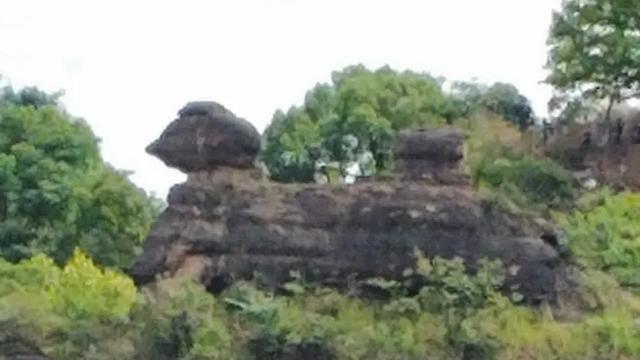 一睹金鸡岭，十年不看山？