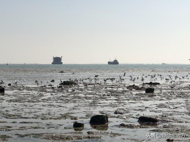 我和老伴在日照待了大半年了，终于明白，为啥大家都愿意来日照了