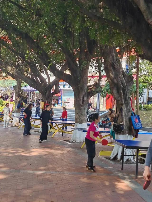 从福州的榕树想到的